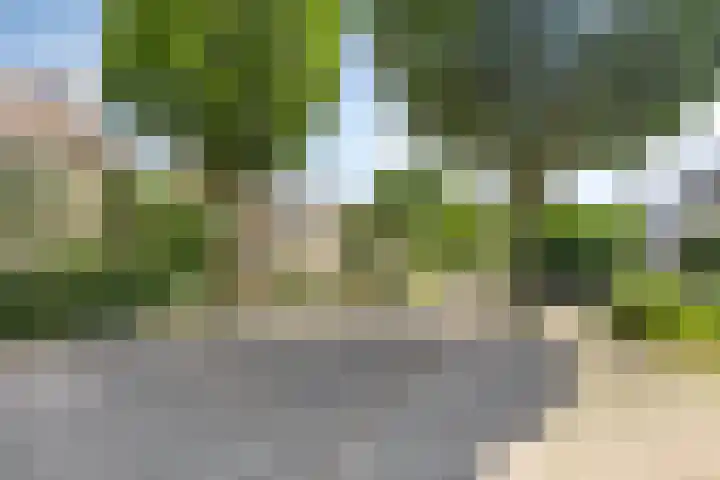 Botsehei 22 Veldhoven thumbnail 33