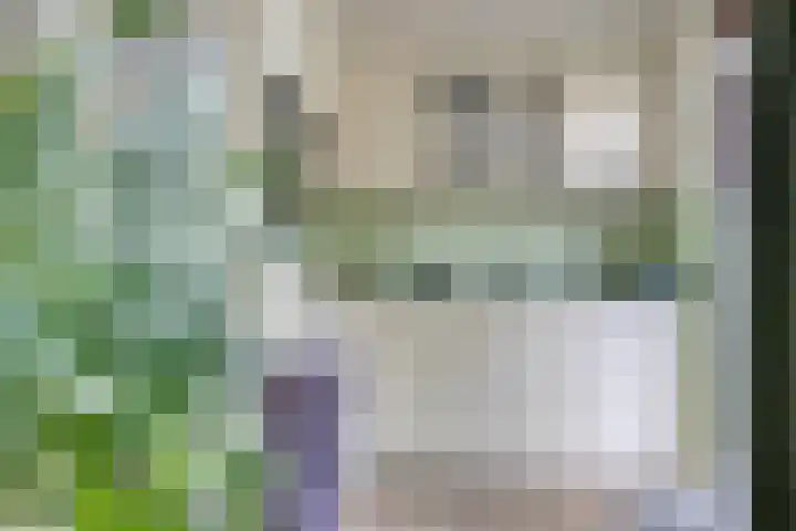 Botsehei 22 Veldhoven thumbnail 7