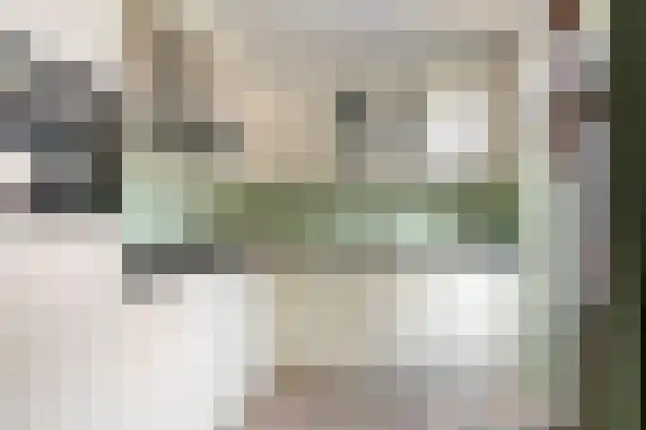 Botsehei 22 Veldhoven thumbnail 8