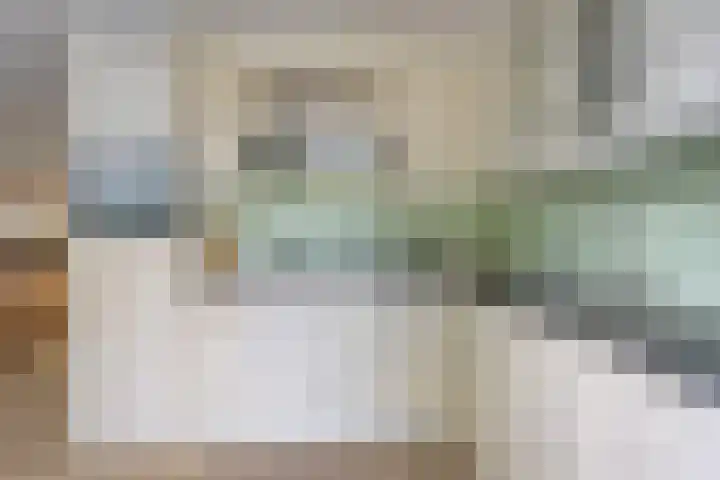 Botsehei 22 Veldhoven thumbnail 9