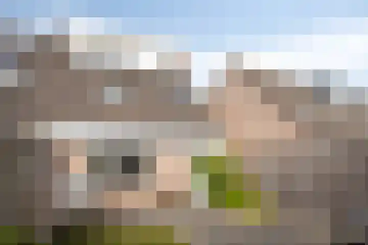 Botsehei 46 Veldhoven thumbnail 22