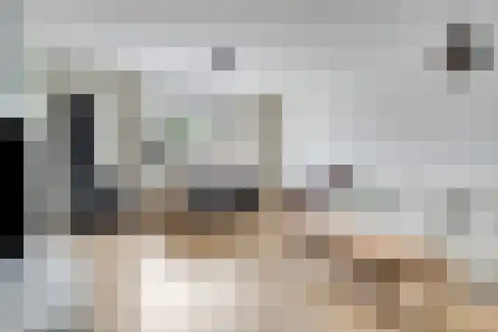 Botsehei 46 Veldhoven thumbnail 4