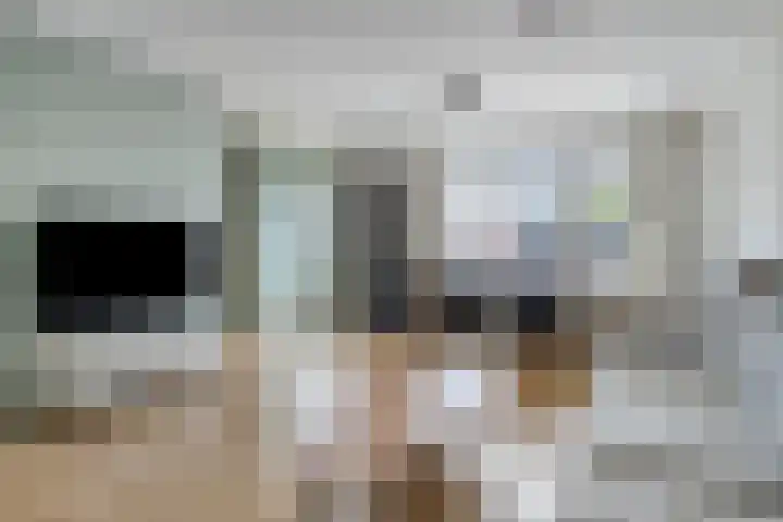 Botsehei 46 Veldhoven thumbnail 5