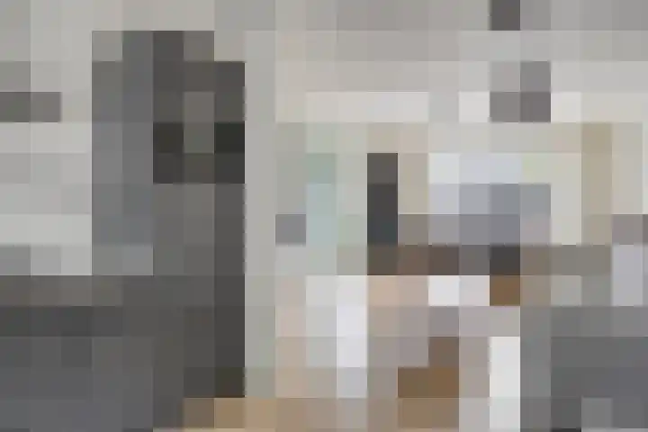 Botsehei 46 Veldhoven thumbnail 8