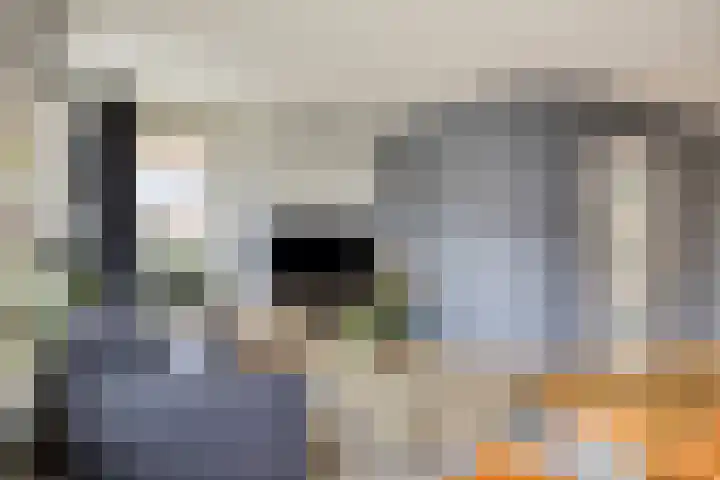 Botsehei 51 Veldhoven thumbnail 11
