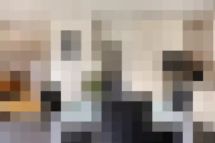 Botsehei 51 Veldhoven thumbnail 17