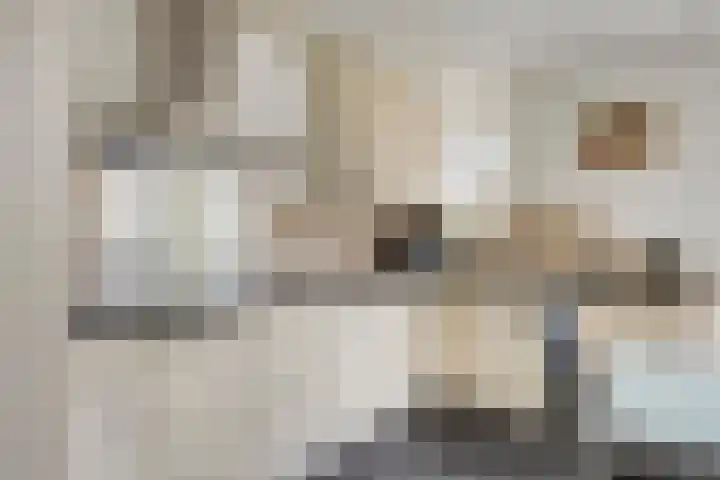 Botsehei 51 Veldhoven thumbnail 18