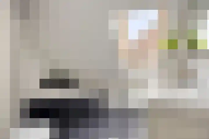 Botsehei 51 Veldhoven thumbnail 22