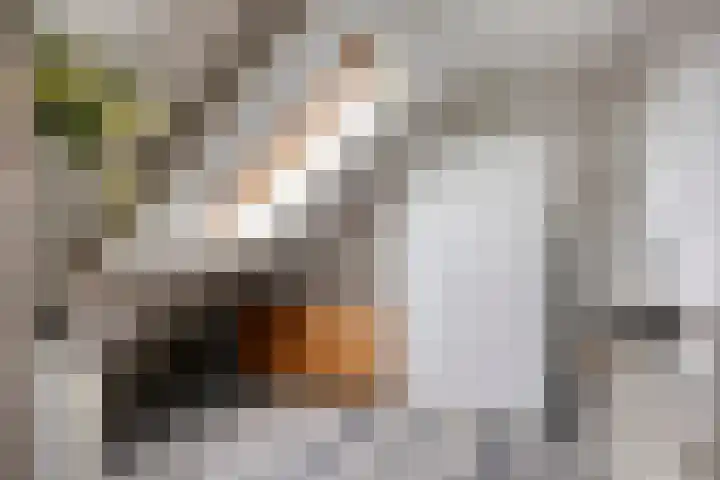 Botsehei 51 Veldhoven thumbnail 30