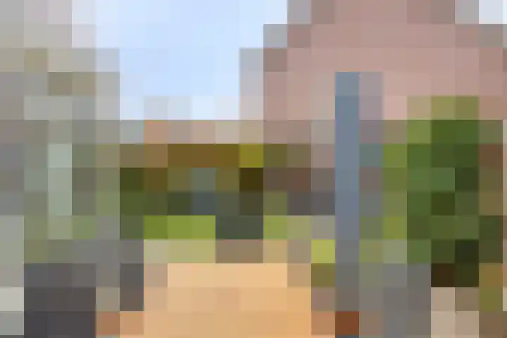 Botsehei 51 Veldhoven thumbnail 35