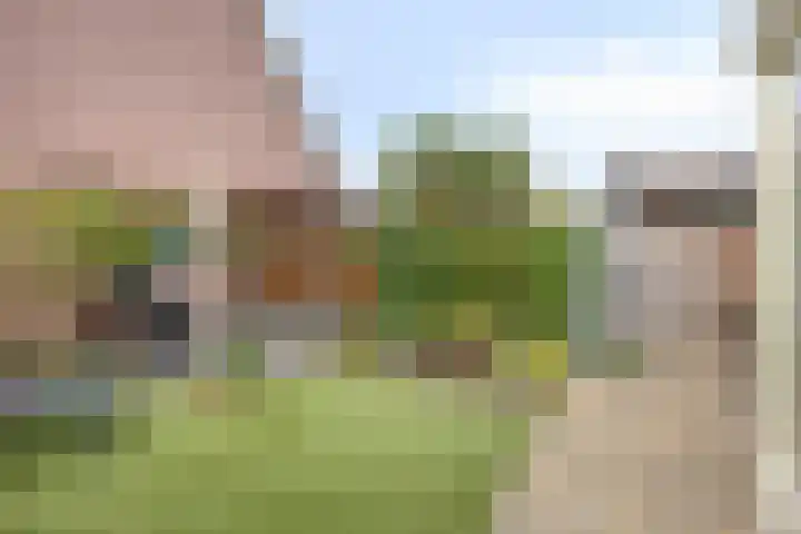 Botsehei 51 Veldhoven thumbnail 36