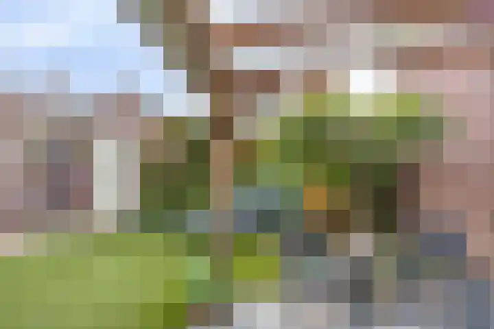 Botsehei 51 Veldhoven thumbnail 38