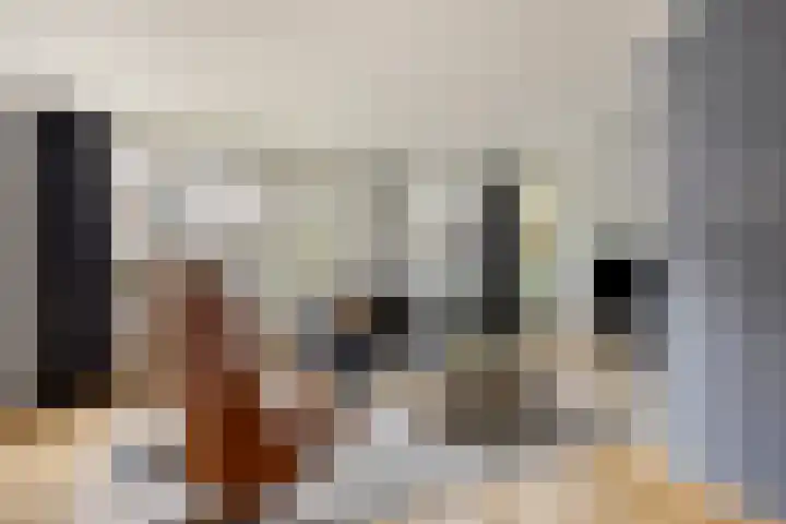 Botsehei 51 Veldhoven thumbnail 4
