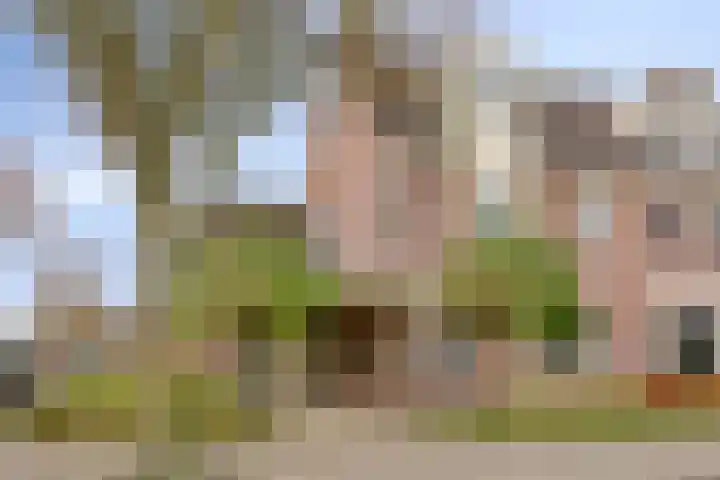 Botsehei 51 Veldhoven thumbnail 41