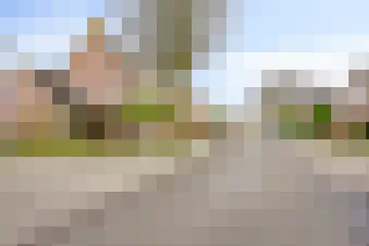 Botsehei 51 Veldhoven thumbnail 42