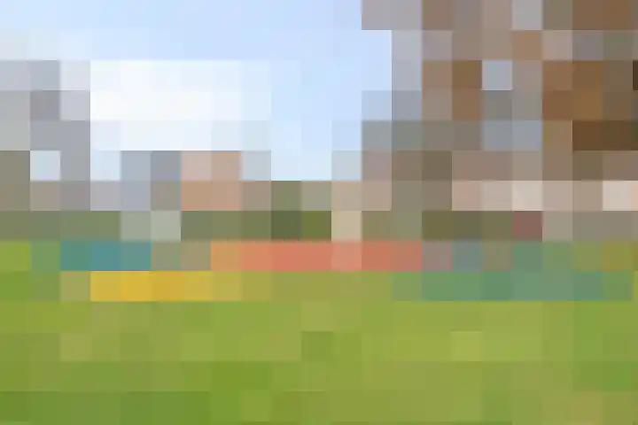 Botsehei 51 Veldhoven thumbnail 43
