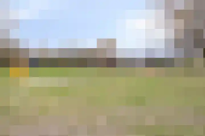 Botsehei 51 Veldhoven thumbnail 44