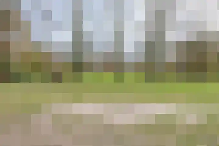 Botsehei 51 Veldhoven thumbnail 45