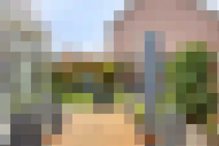Botsehei 51 Veldhoven thumbnail 5
