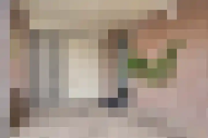Botsehei 51 Veldhoven thumbnail 7