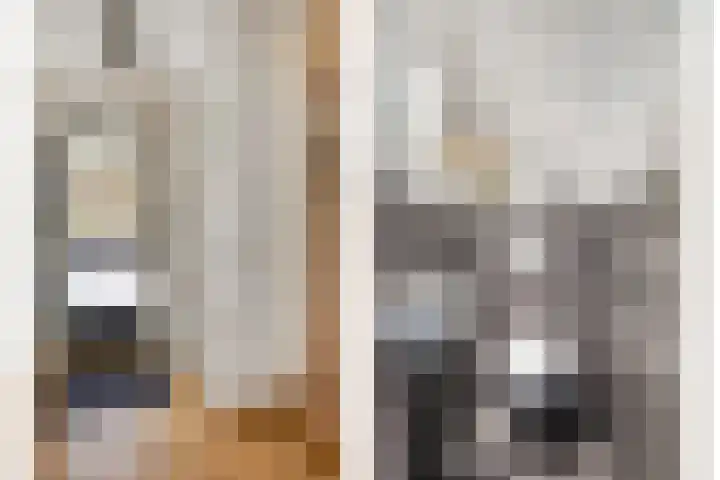 Botsehei 51 Veldhoven thumbnail 8