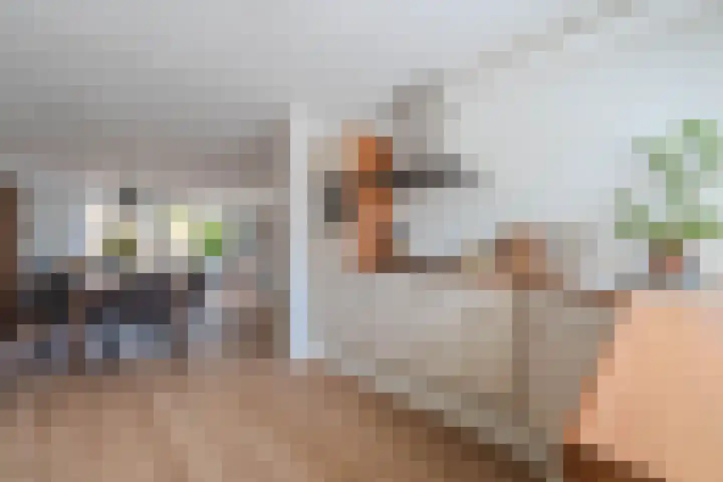 Botsehei 56 Veldhoven thumbnail 24