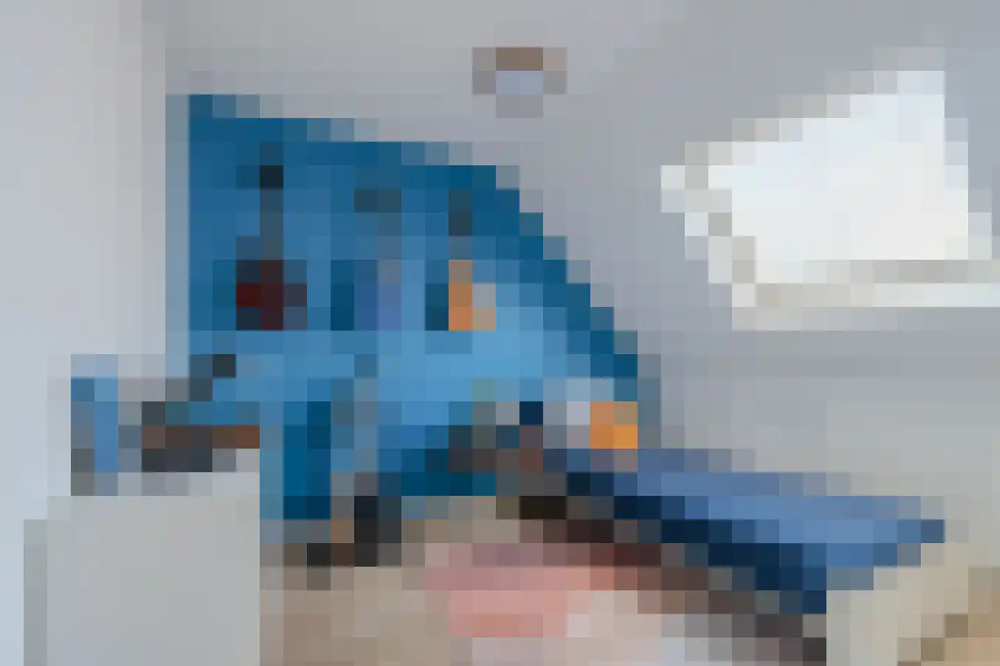 Botsehei 56 Veldhoven thumbnail 34