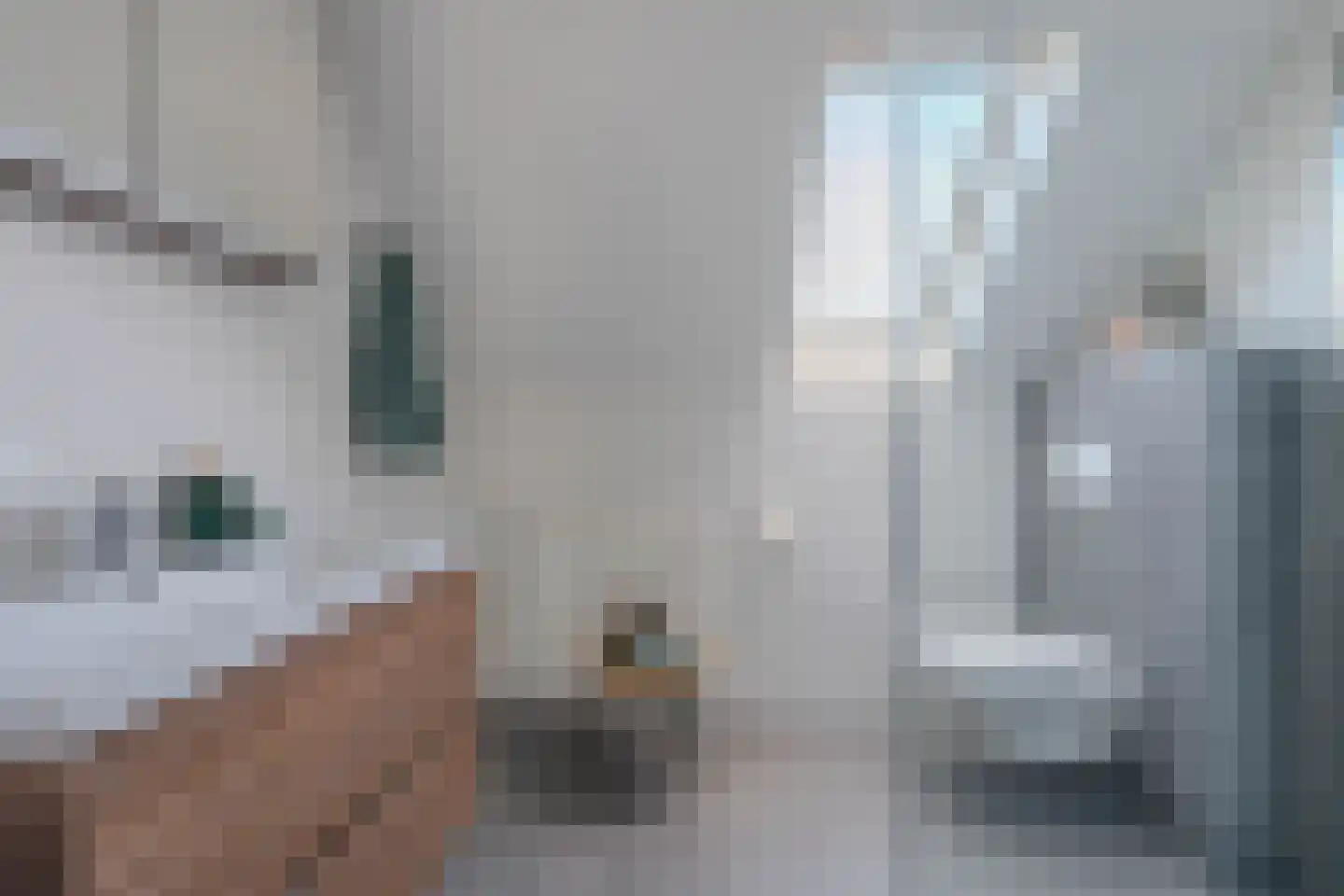 Botsehei 56 Veldhoven thumbnail 37