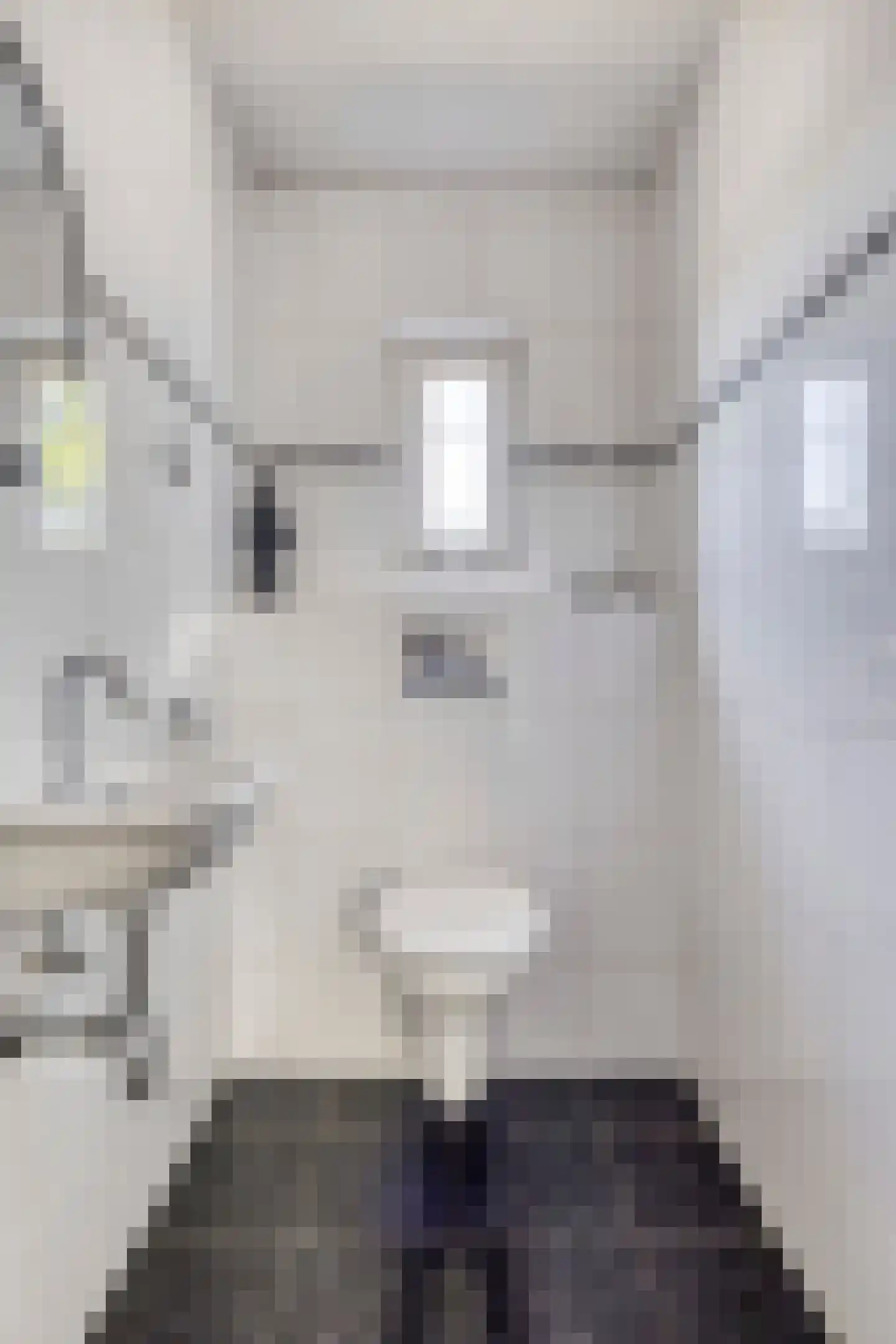 Botsestraat 11 Leuth thumbnail 13