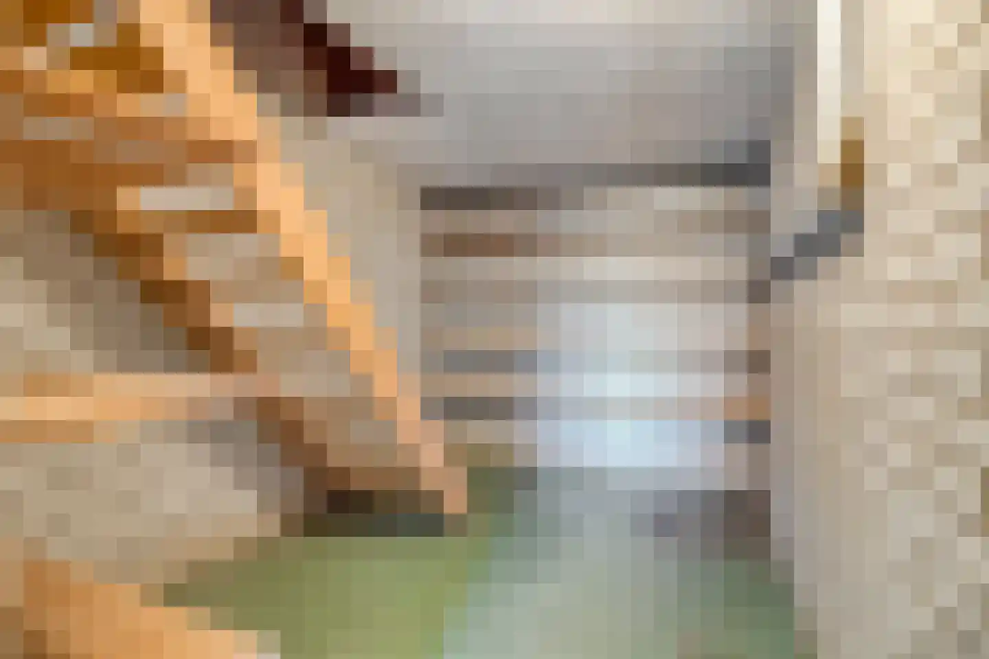 Botsestraat 11 Leuth thumbnail 25
