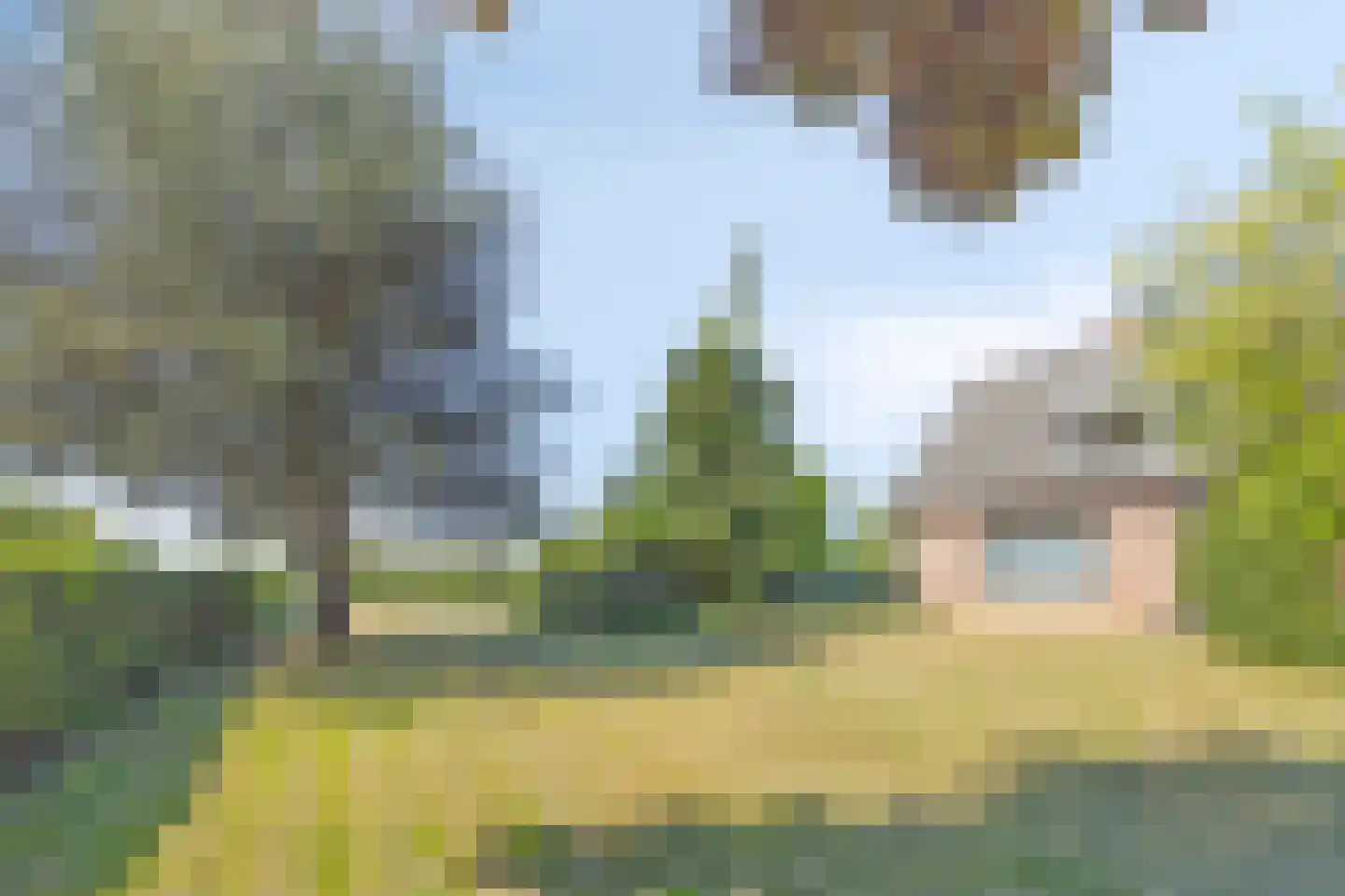 Botsestraat 11 Leuth thumbnail 34