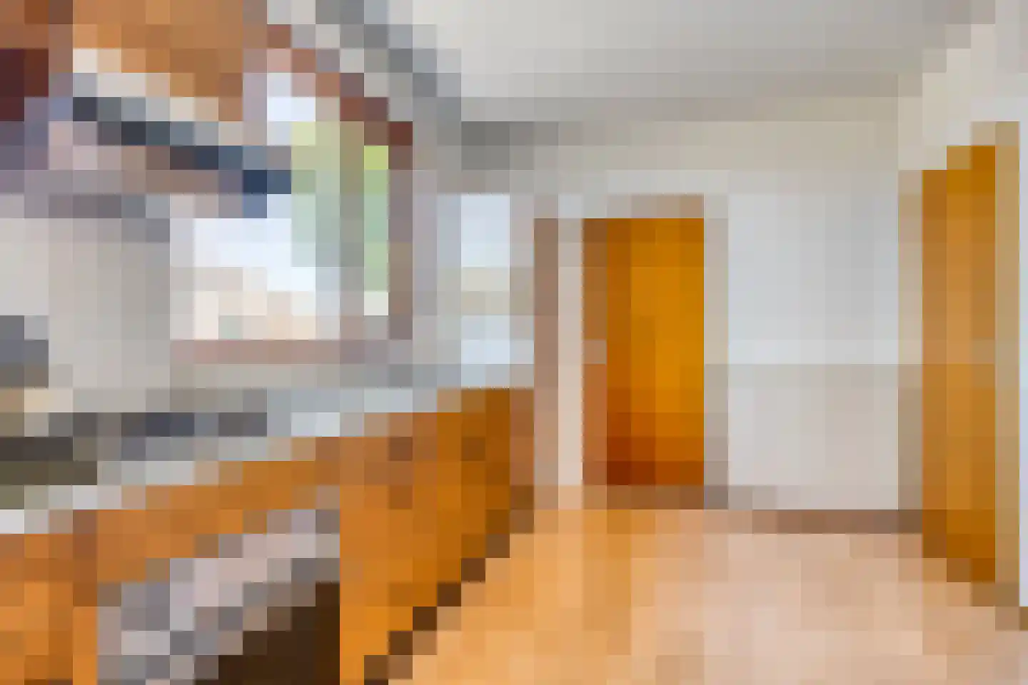 Botsestraat 11 Leuth thumbnail 8
