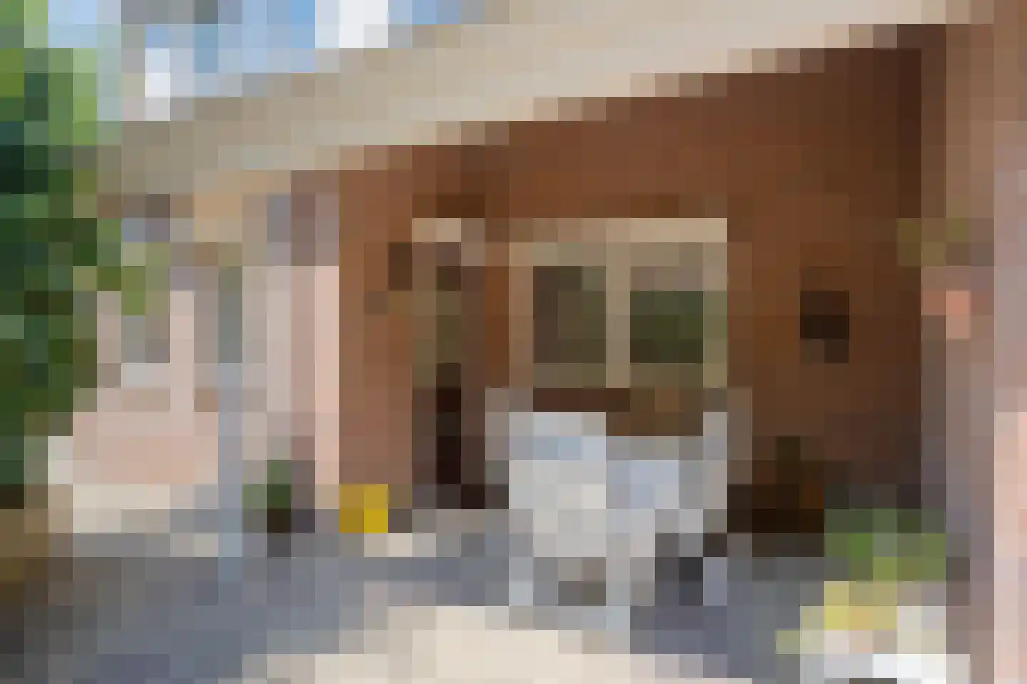 Botsestraat 12 Leuth thumbnail 23