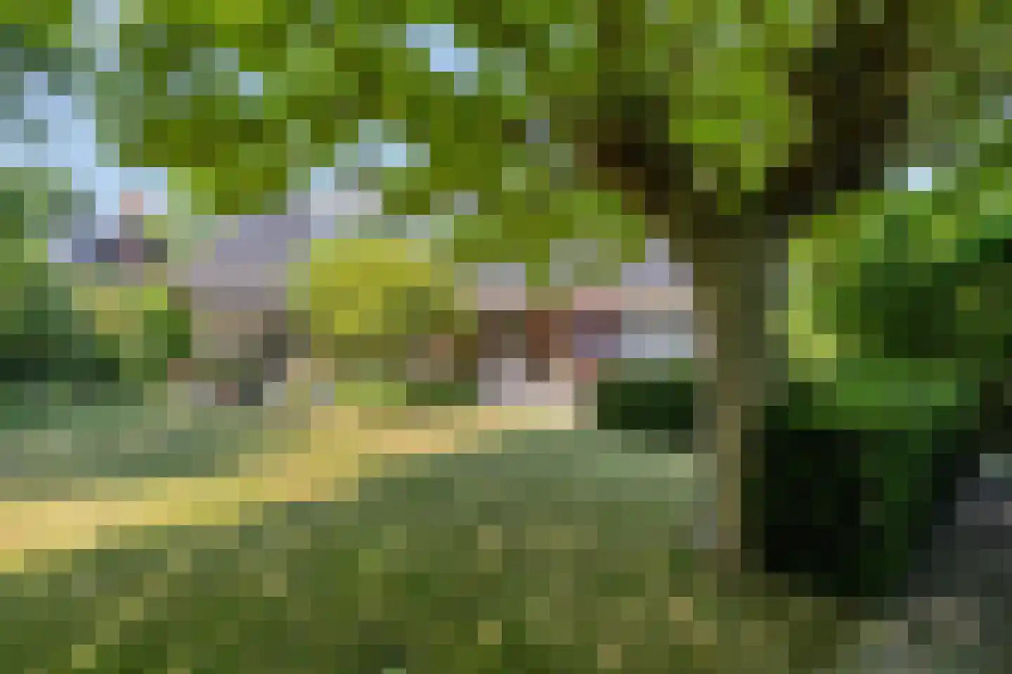 Botsestraat 12 Leuth thumbnail 25