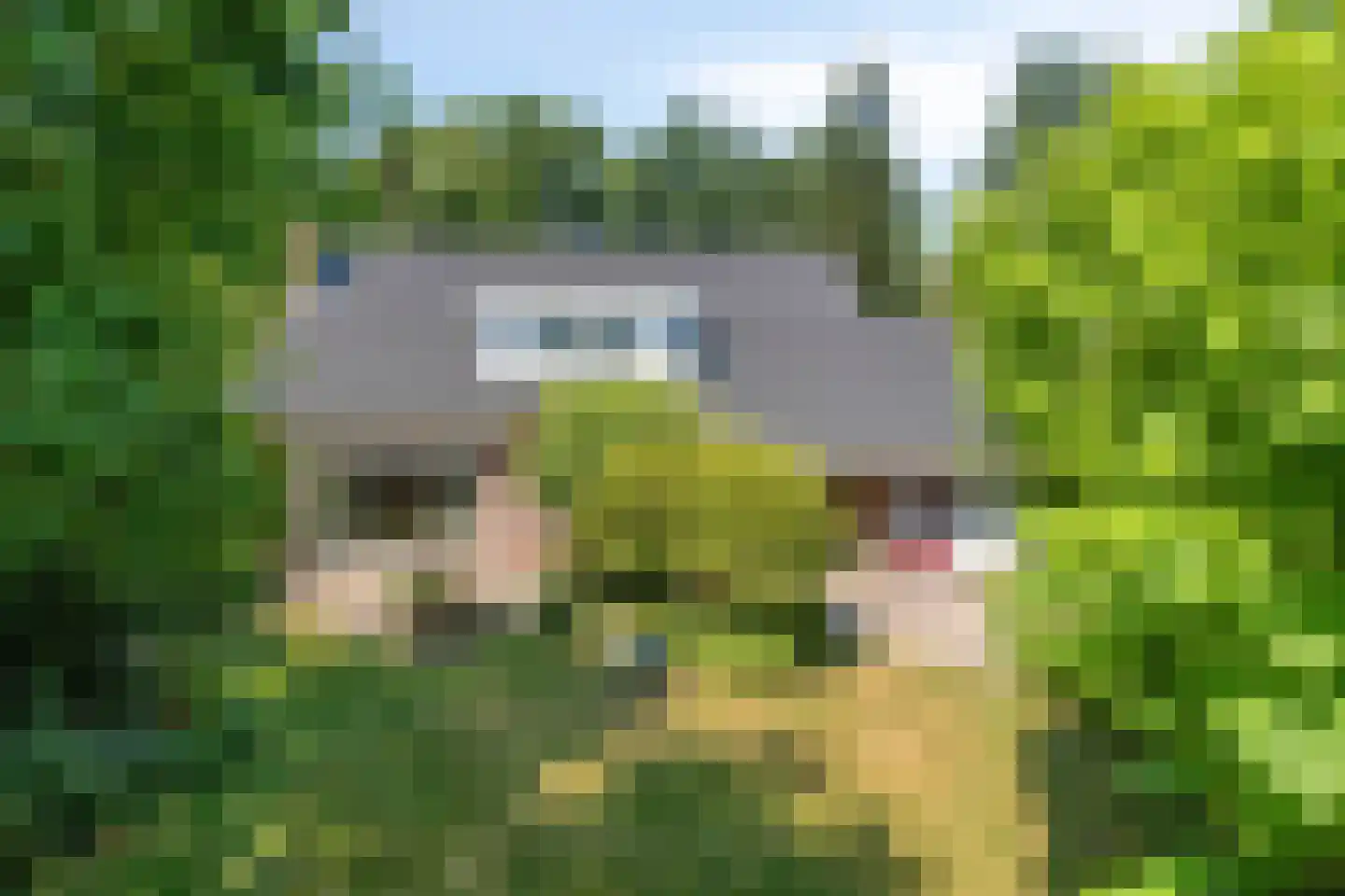 Botsestraat 12 Leuth thumbnail 27