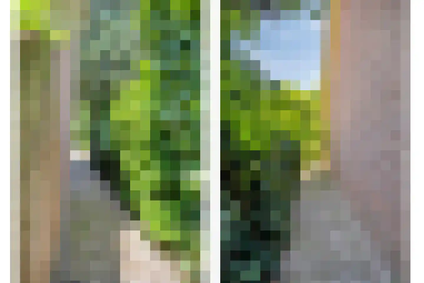 Botsestraat 12 Leuth thumbnail 28