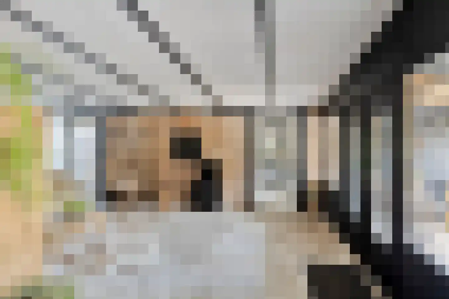 Botsestraat 40 Kekerdom thumbnail 17