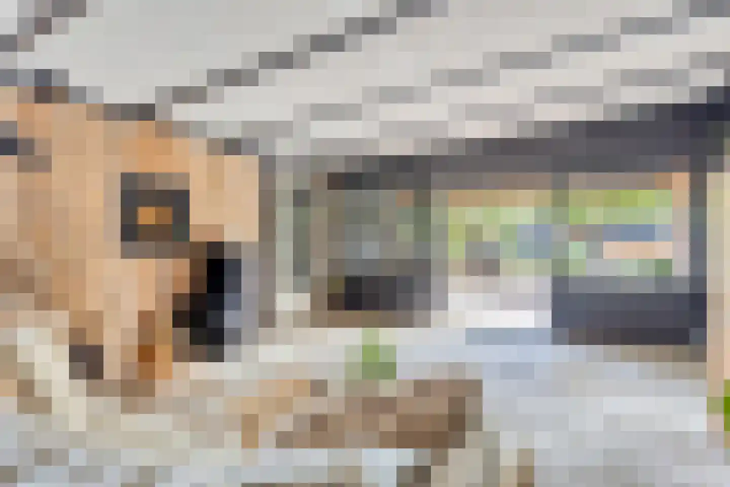 Botsestraat 40 Kekerdom thumbnail 19
