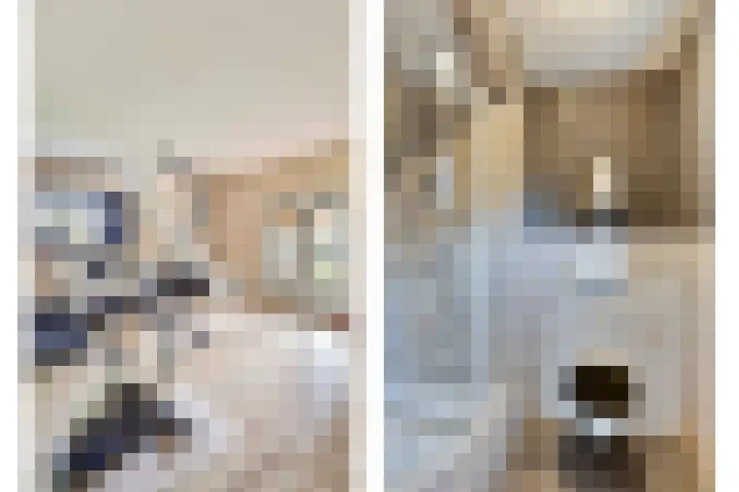 Botsestraat 40 Kekerdom thumbnail 21