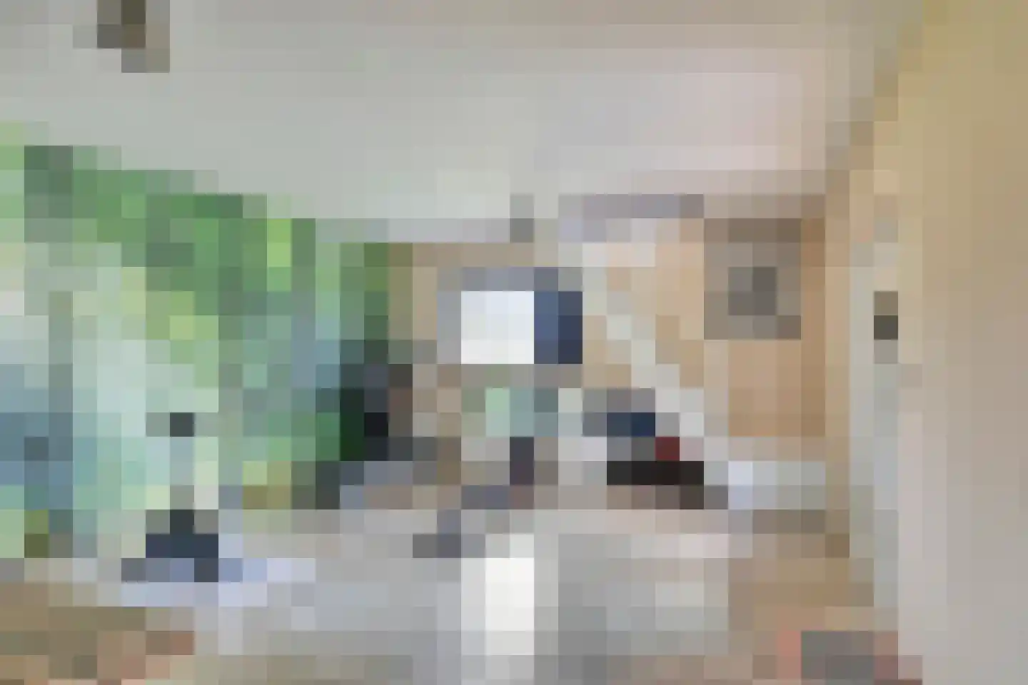 Botsestraat 40 Kekerdom thumbnail 22