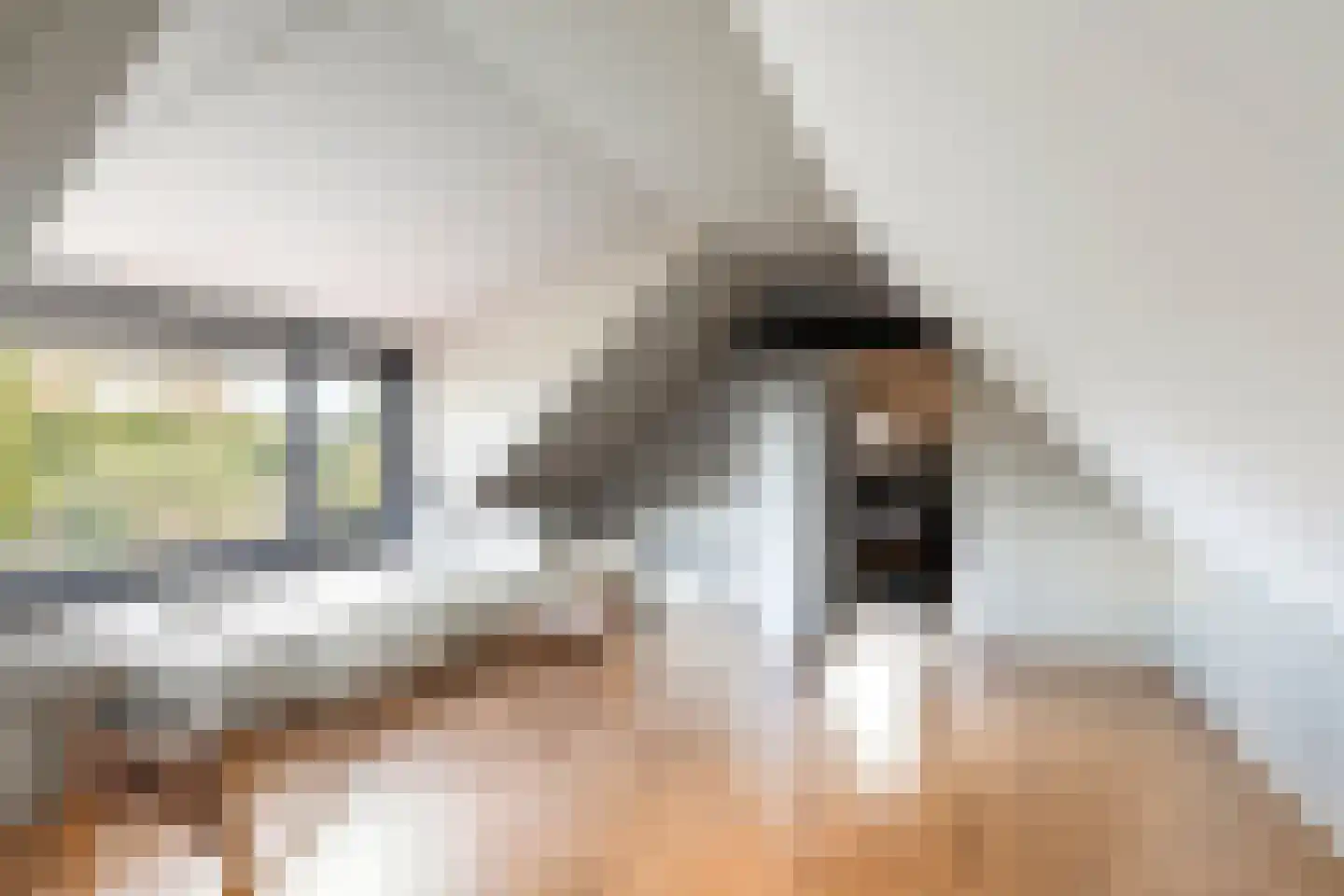 Botsestraat 40 Kekerdom thumbnail 24