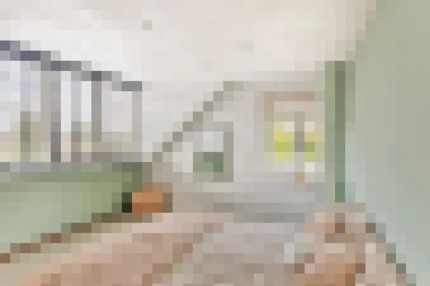 Botsestraat 40 Kekerdom thumbnail 27