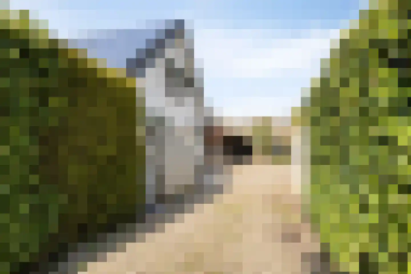 Botsestraat 40 Kekerdom thumbnail 32