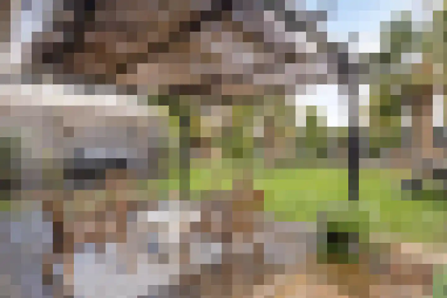 Botsestraat 40 Kekerdom thumbnail 36