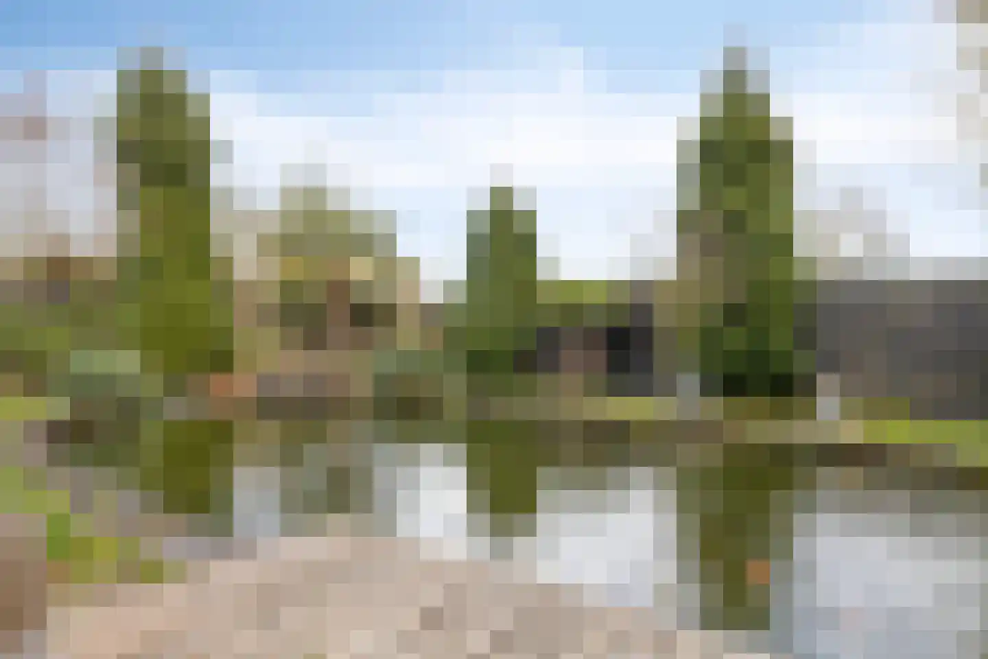Botsestraat 40 Kekerdom thumbnail 40