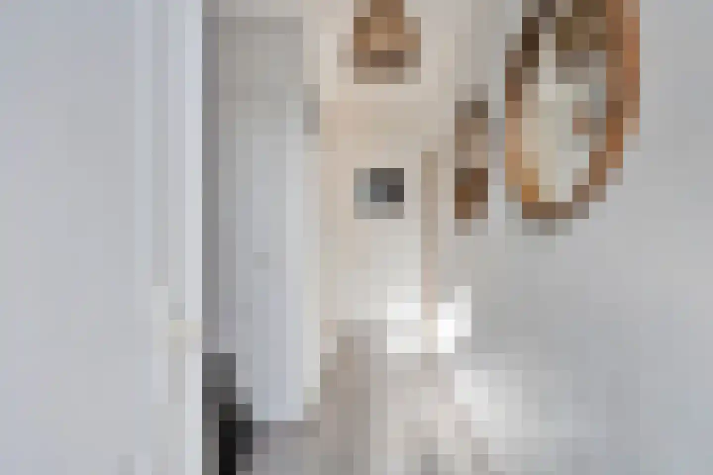 Botsestraat 40 Kekerdom thumbnail 8
