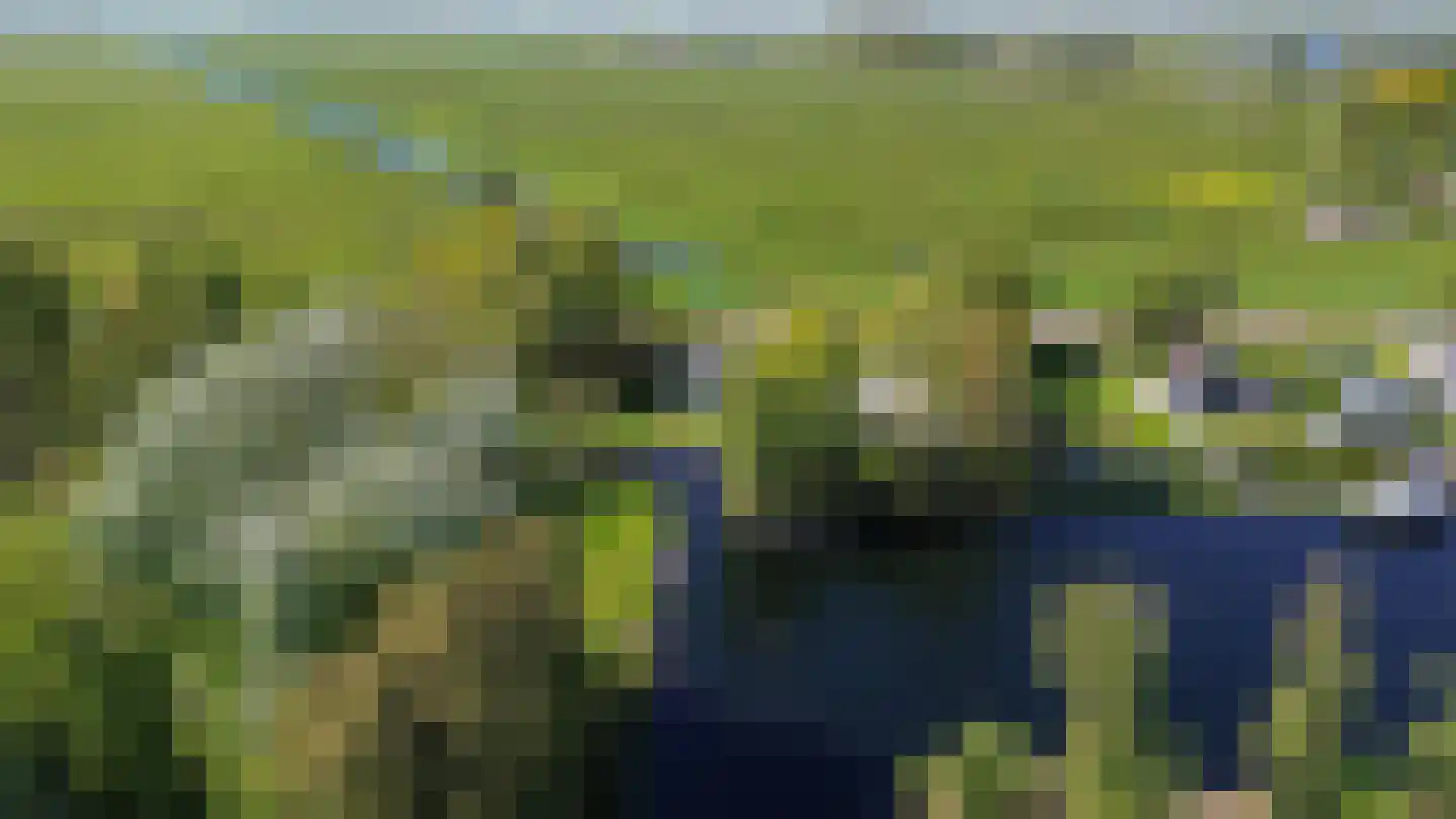 Botsholsedijk 10 Waverveen thumbnail 19