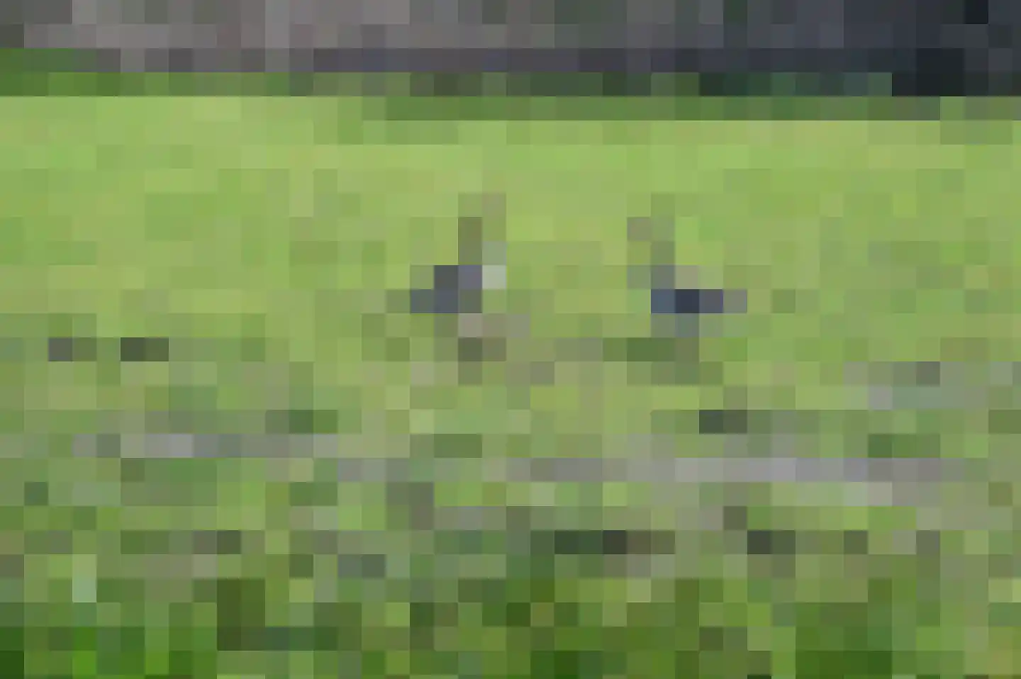 Botsholsedijk 10 Waverveen thumbnail 7