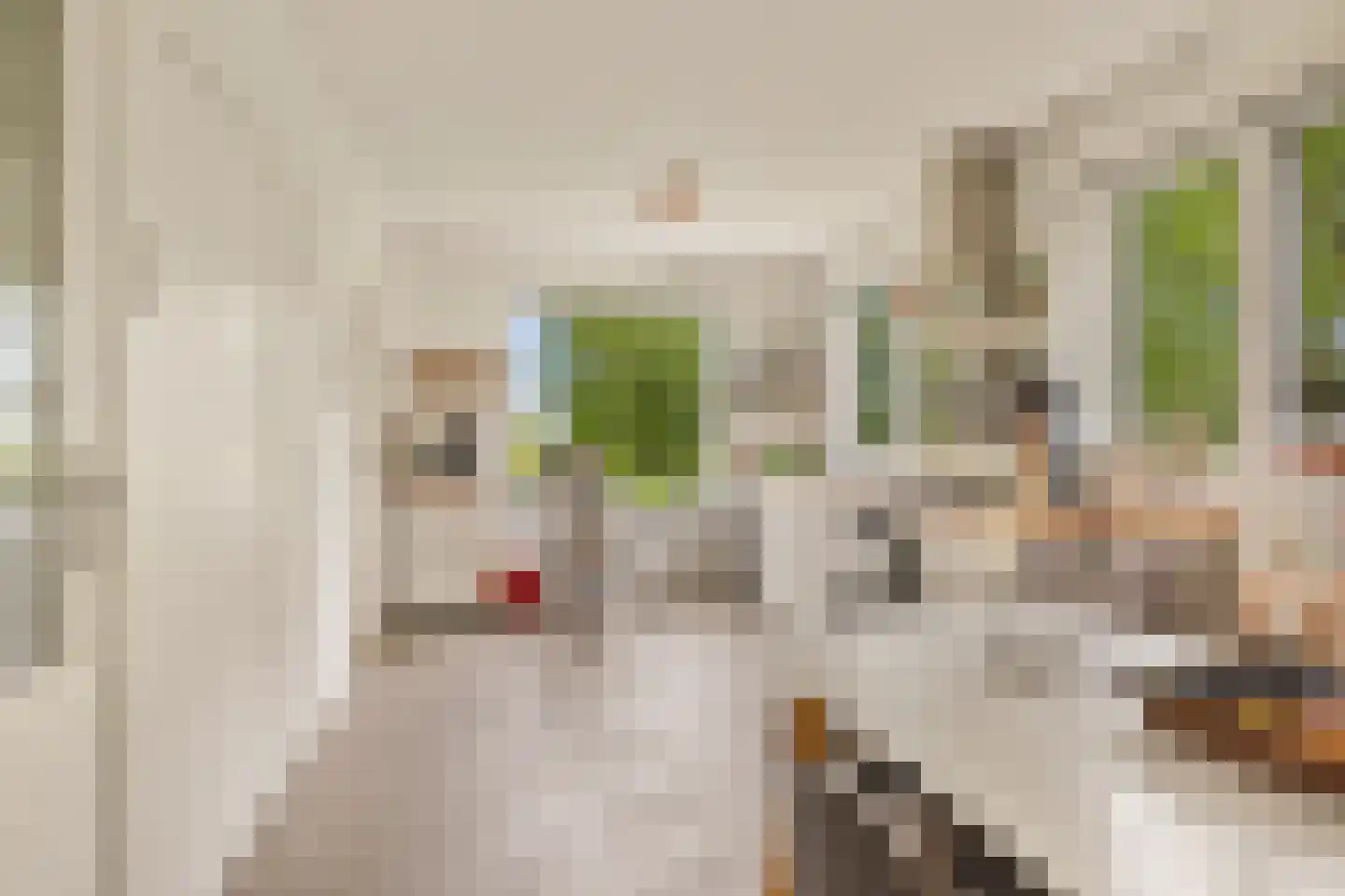Botsholsedwarsweg 2 C Waverveen thumbnail 13