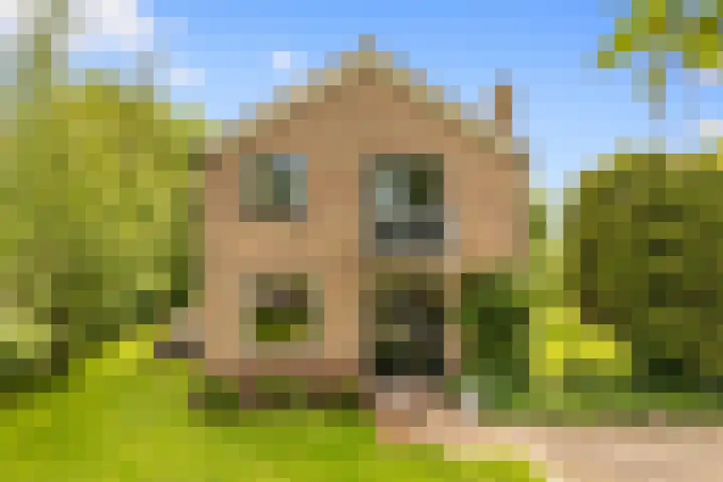 Botsholsedwarsweg 2 C Waverveen thumbnail 18